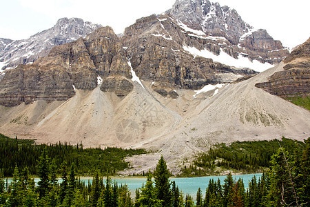 加拿大洛基山脉的冰层形成树木图片