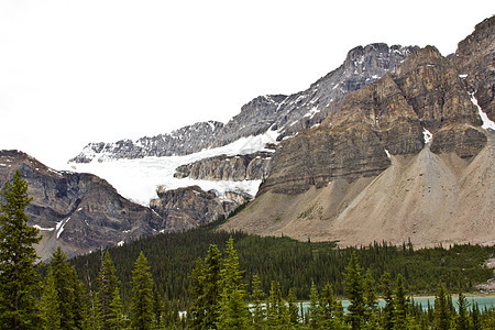 加拿大洛基山脉的冰层形成树木图片