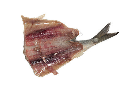 在白色背景上隔离的盐火林钓鱼尾巴食物盐渍鲱鱼海鲜妻子皮肤图片