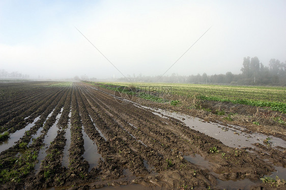 带雾的农田景观图片