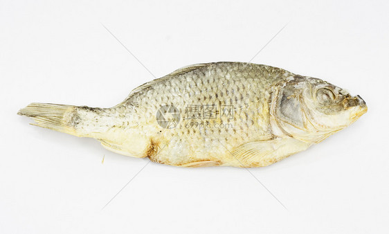 白底白底孤立的干鱼鳕鱼海鲜眼睛钓鱼尾巴营养午餐盐渍白色美食图片