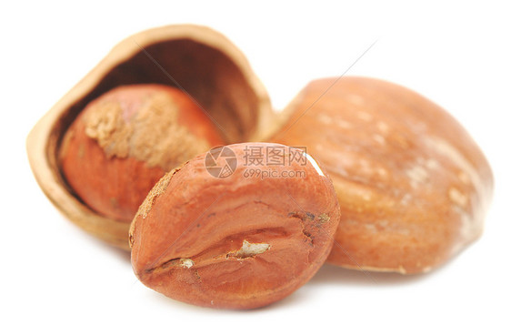 贝壳里的坚果纤维榛子食物白色棕色种子宏观团体小吃韧性豆类图片