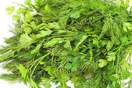 dill 和 arsley小枝分册蔬菜叶子收藏饮食拼贴画香料食物床单图片