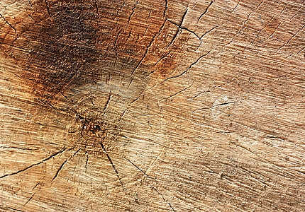 木质纹理 可以用作背景材料宏观历史年度风化条纹戒指木头棕色木材日志图片