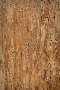 纹制木木背景图片