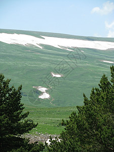 阿尔卑斯山草原高山冰川植被天空花朵斜坡距离植物群青菜旅行图片