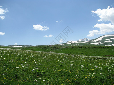 阿尔卑斯山草原旅行植物风景青菜旅游冰川花朵高山距离植被图片