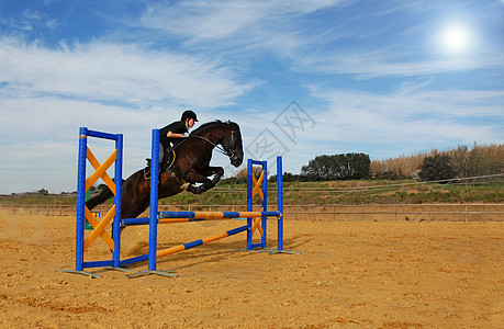 跳马女孩蓝色头盔动物骑马社会竞赛运动训练黑色图片