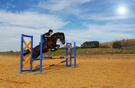 跳马女孩蓝色头盔动物骑马社会竞赛运动训练黑色图片