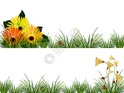 花头 草和小虫头横幅女士树叶邮政水分艺术卡片漏洞角落植物图片
