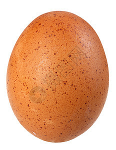 只有一个棕色鸡蛋早餐脆弱性橙子宏观生物摄影椭圆照片母鸡白色图片