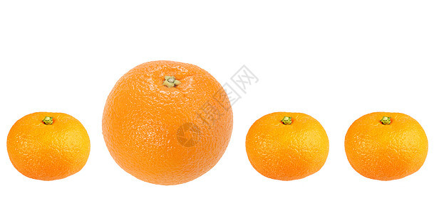 橙子和橘子排行图片