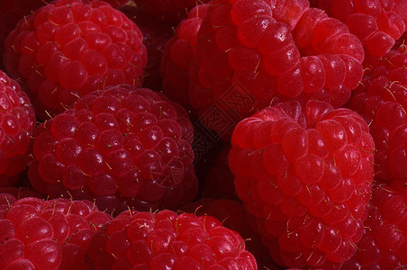 草莓红色工作室覆盆子水果叶子框架背景图片