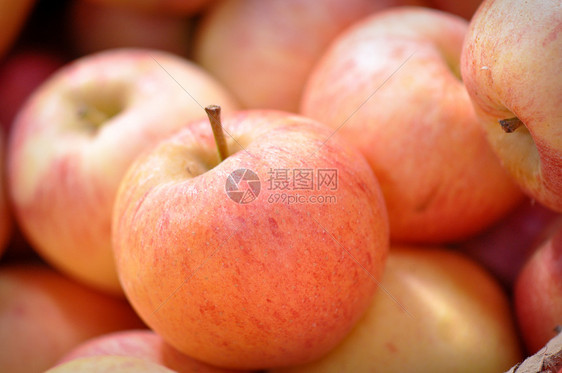 红苹果特写果园食物小吃采摘生长水果市场生产馅饼种子图片