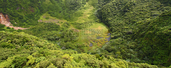 圣基茨天堂杂草火山陨石休眠热带背风爬坡海拔植被图片