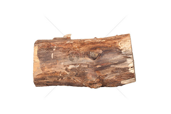 Birch原木在白色背景上被隔离棕色硬木树桩日志木材木工人同心木头植物建造图片