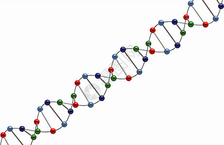 DNA制造科学白色生物学染色体药品生活医疗化学技术螺旋图片