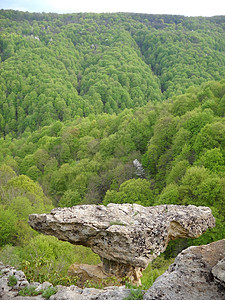 植物群石头登山高度全景文件风景植被山脉解脱山丘图片