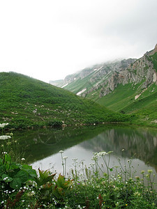 山山脉草甸花朵解脱旅行风景文件植被岩石青菜反射图片