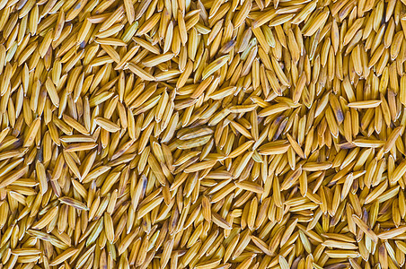 稻田营养墙纸种子文化收成饮食谷物烹饪食物盘子图片