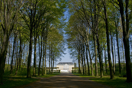 奥古斯托斯堡宫公园建筑晴天树木森林遗产风格图片