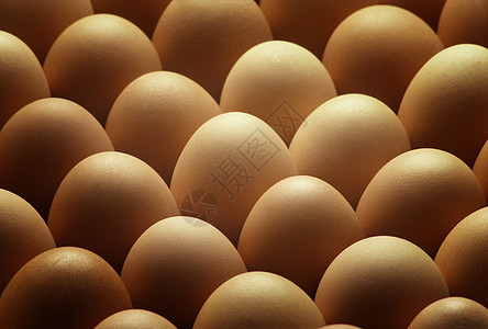 乡村棕蛋排成一排贝壳食物杂货食品手术家禽国家孵化器孵化杂货店图片