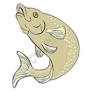 鲑鱼跳跃斑点插图野生动物背景图片