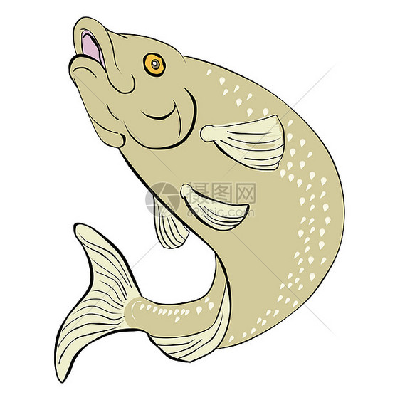 鲑鱼跳跃斑点插图野生动物图片