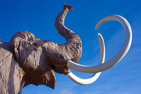 头鼻子哺乳动物雕塑长毛树干化石雕像生物脊椎动物苔原图片