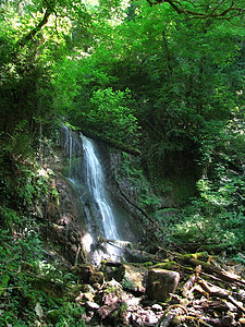 瀑布宽慰游览圆形山脉溪流木头岩石全景对象水分图片