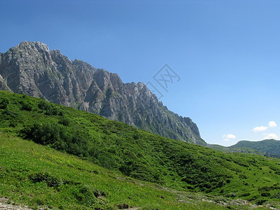 山山脉天空植物高山植被花朵草甸植物群岩石生物青菜图片