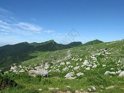 山山脉高地植物群风景轨道文件高原植物高山路线解脱图片