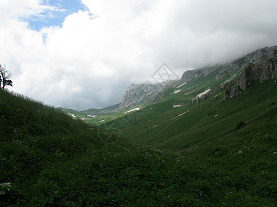 山山脉解脱全景石头植物旅行高山草甸高原高地花朵图片