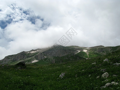 山山脉高原斜坡高山植被解脱植物群岩石生物全景草甸图片