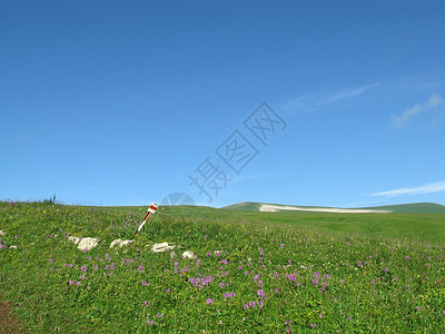 山山脉花朵高原植物斜坡植物群青菜全景岩石植被天空图片