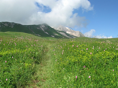 山山脉高山青菜风景岩石山丘草甸植物生物旅行路线图片