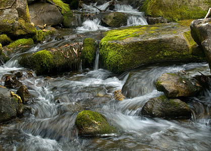 山河苔藓石头地衣岩石溪流瀑布水平绿色图片