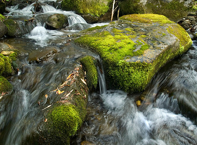 山河瀑布岩石地衣溪流石头水平绿色苔藓图片