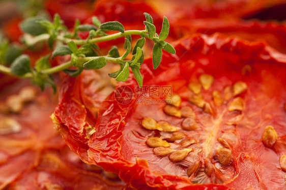 意大利日晒干西红番茄蔬菜种子脱水红色水平框架美食图片