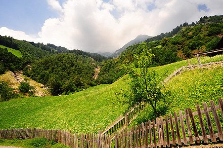 木林栅岩石天空地面农村植物阴霾栅栏石灰石农场顶峰图片