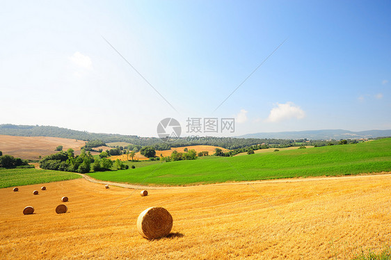 托斯卡纳景观美丽稻草全景草原粮食场地阴影农村环境干草图片