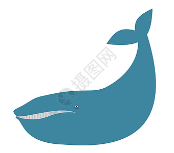 卡通鲸鱼插图卡通片哺乳动物蓝色动物尾巴图片