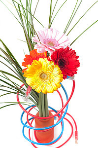 电线和花花概念花瓣树叶黄色叶子红色植物群花瓶粉色脆弱性绿色图片