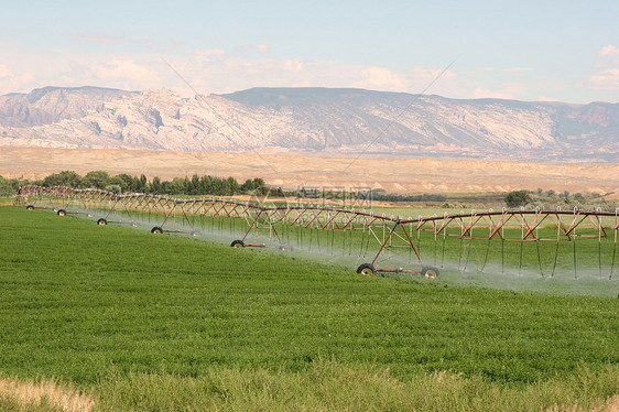 农耕薄雾洒水器母猪车轮灌溉地面市场机器条纹土壤图片