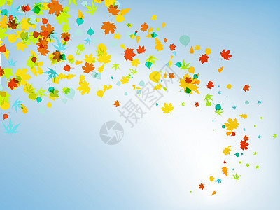 秋幕背景 下降的叶子图片