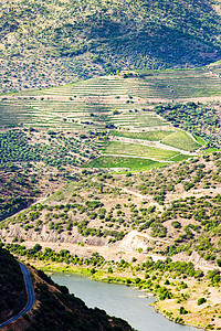 葡萄牙杜罗谷河流葡萄园栽培风景位置世界遗产世界山谷乡村外观图片
