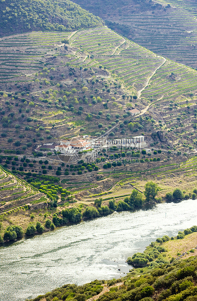 葡萄牙杜罗谷葡萄园山谷栽培世界遗产旅行外观乡村位置风景河流图片