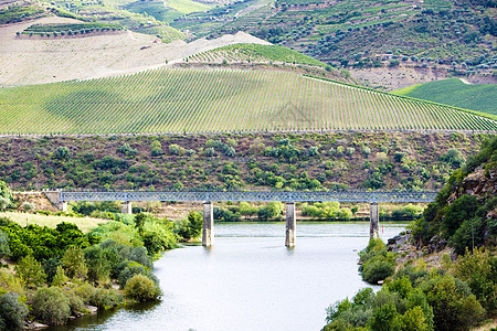 葡萄牙杜罗谷世界外观桥梁葡萄园乡村河流山谷栽培旅行风景图片