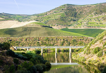 葡萄牙杜罗河谷的铁路管道世界遗产风景世界山谷乡村位置桥梁河流旅行外观图片
