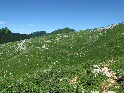 山山脉青菜花朵山丘高地草甸解脱植被高山斜坡文件图片